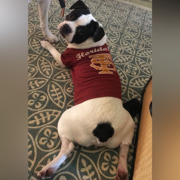 Meet your Posher, Healy - Picture 5 of 12